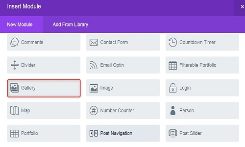 divi theme gallery module