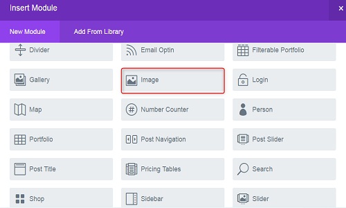 divi theme image module