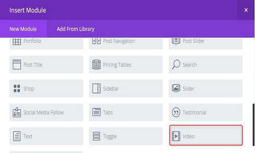 video module of divi theme  demo setting